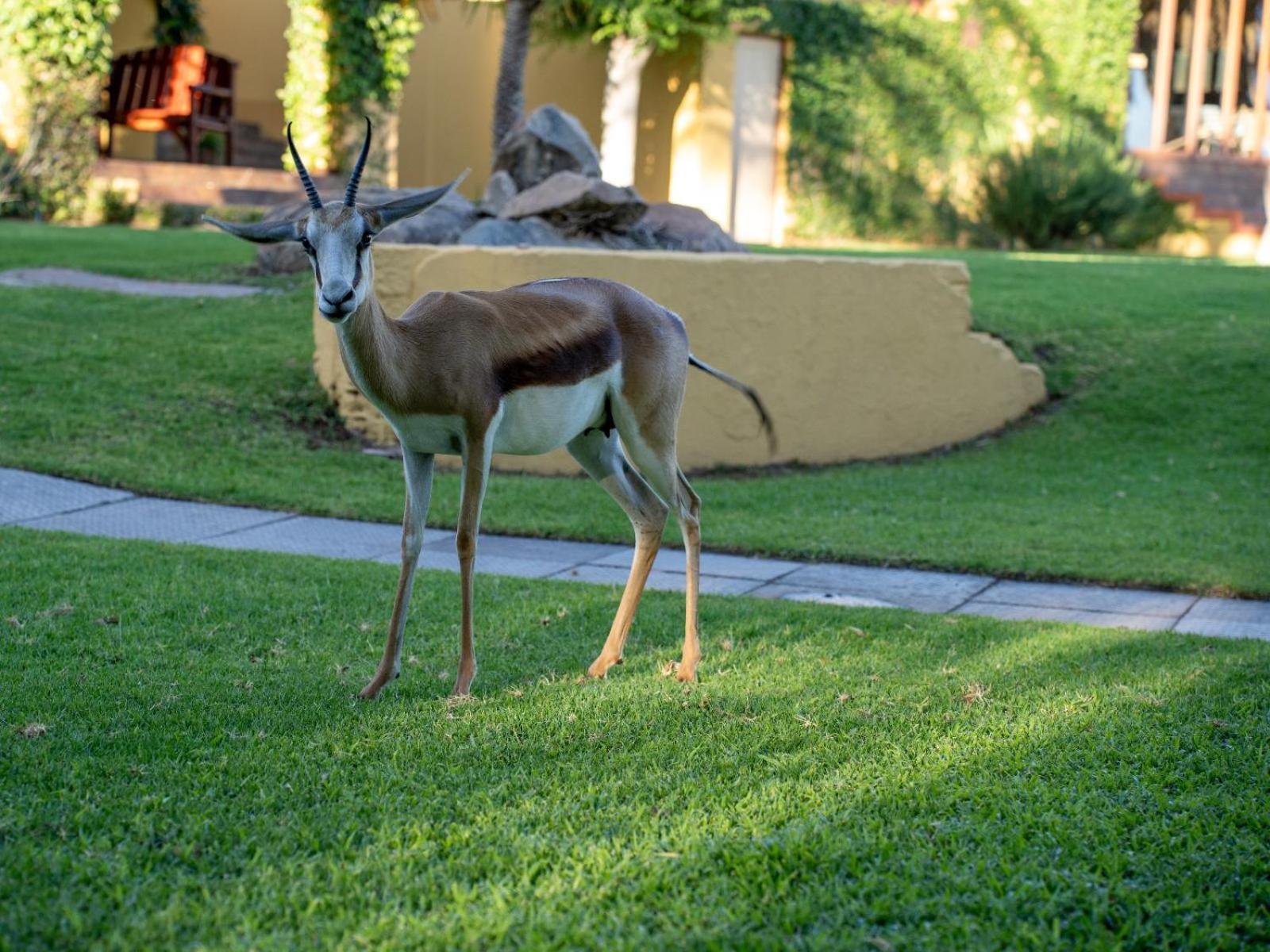 Sunriver Kalahari Lodge Riverside Stay In Upington Dış mekan fotoğraf